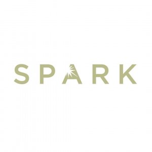 Spark Salon Logo