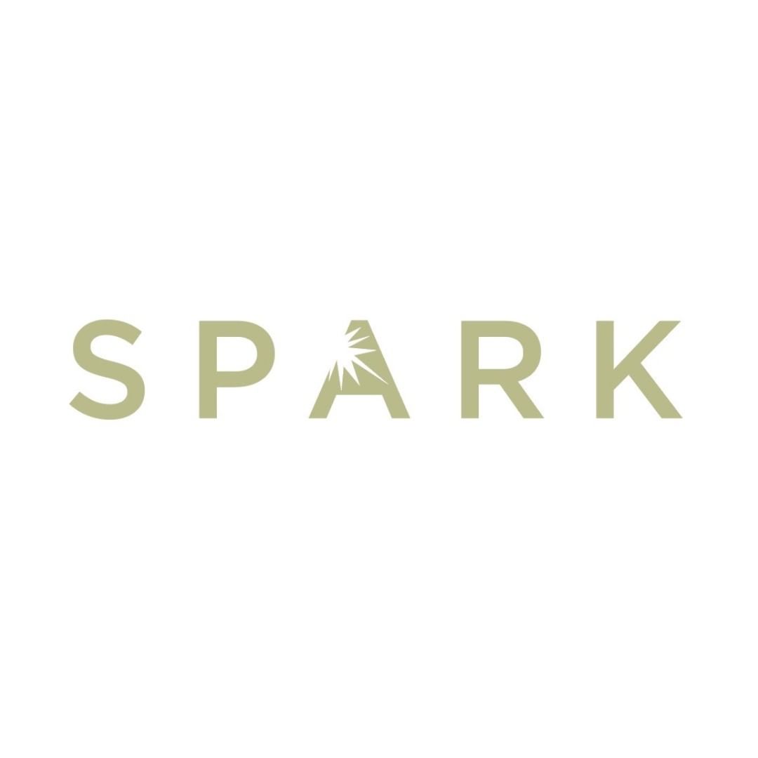 Spark Salon Logo